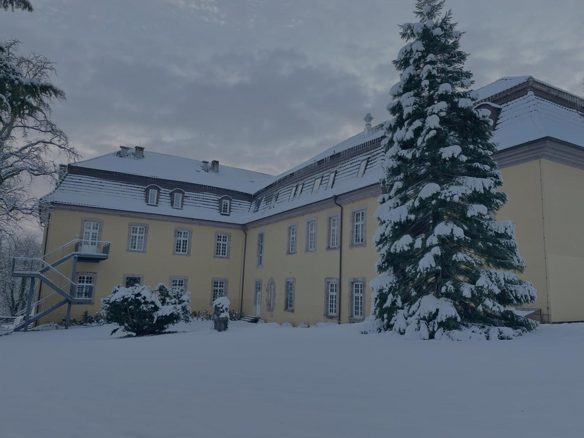 באד ארסולן Hotel Schloss Hoehnscheid מראה חיצוני תמונה